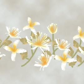 花1.psd